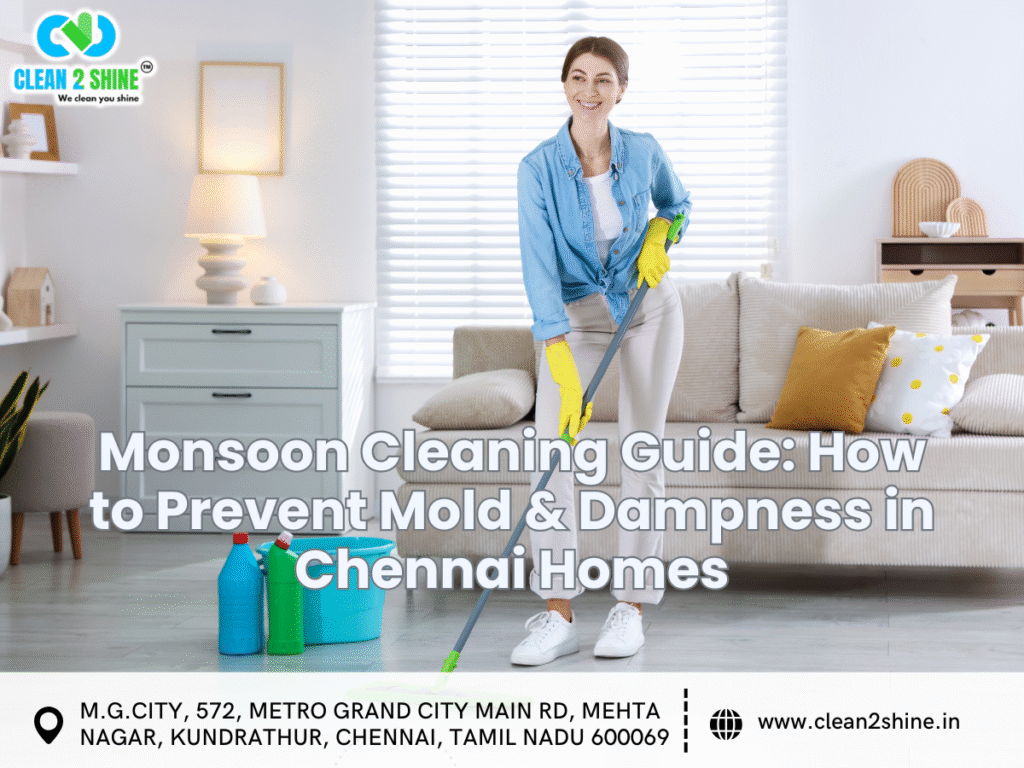 Monsoon Cleaning Guide: How to Prevent Mold & Dampness in Chennai Homes